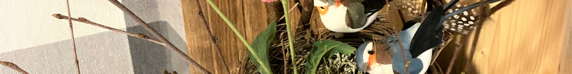 FEWO „Antje´s kleines Nest“