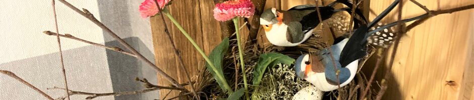 FEWO „Antje´s kleines Nest“