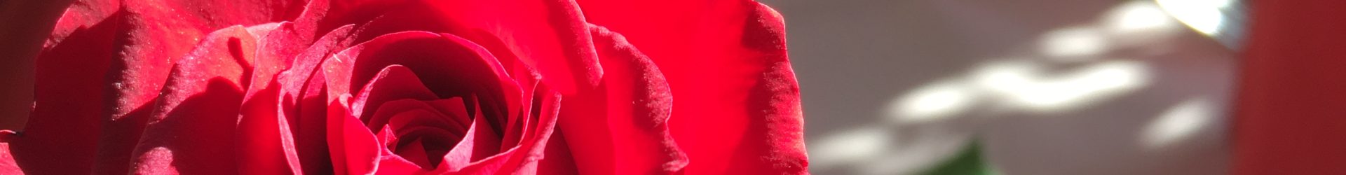 Antje´s Schmankerlhotel und Restaurant